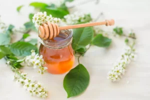 Manuka Honig