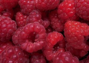 Wellant Apfel: Was er für Immunsystem und Darm tut